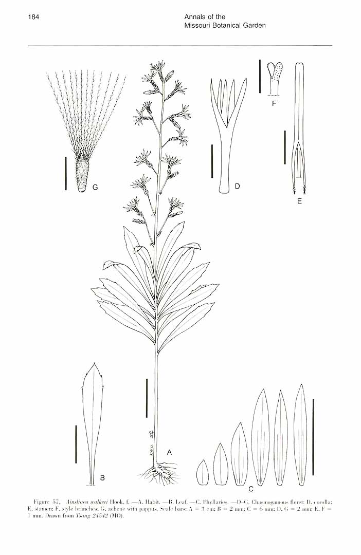 no HD illustration available (m3)
