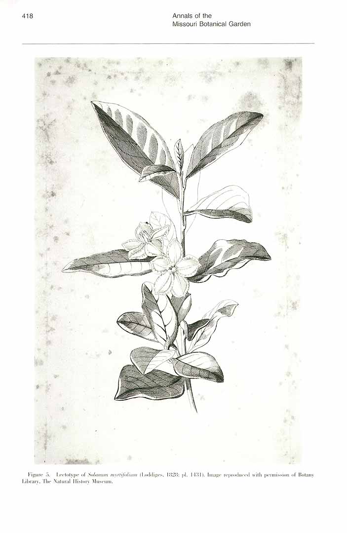 no HD illustration available (m1)