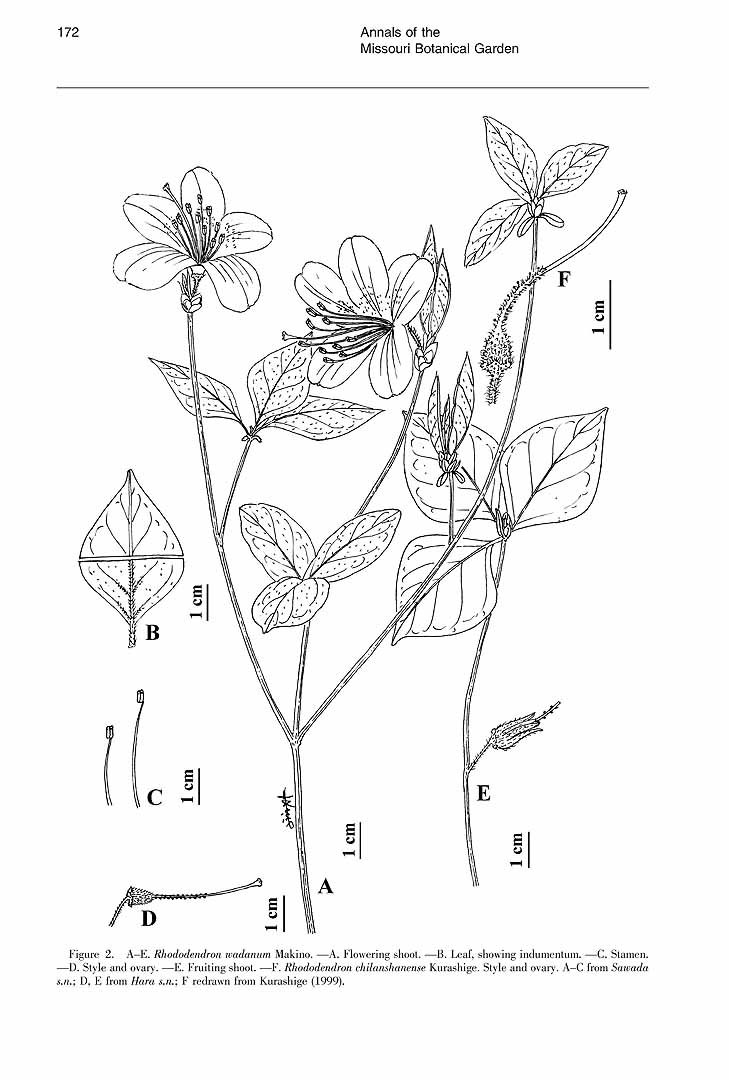no HD illustration available (m1)
