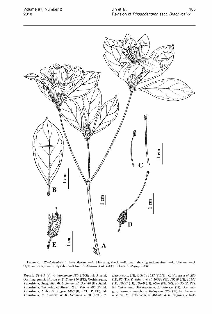 no HD illustration available (m1)