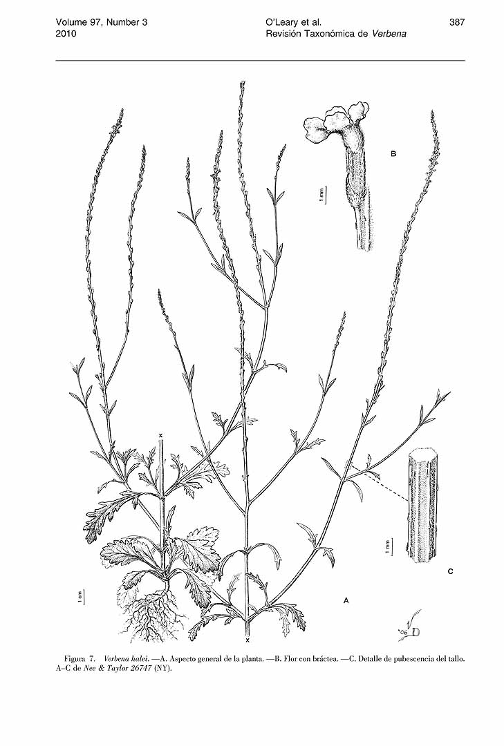 no HD illustration available (m1)