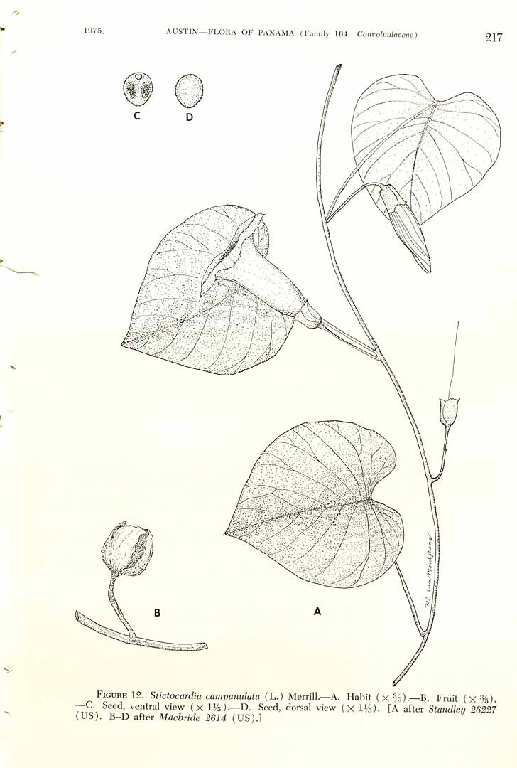 no HD illustration available (m1)