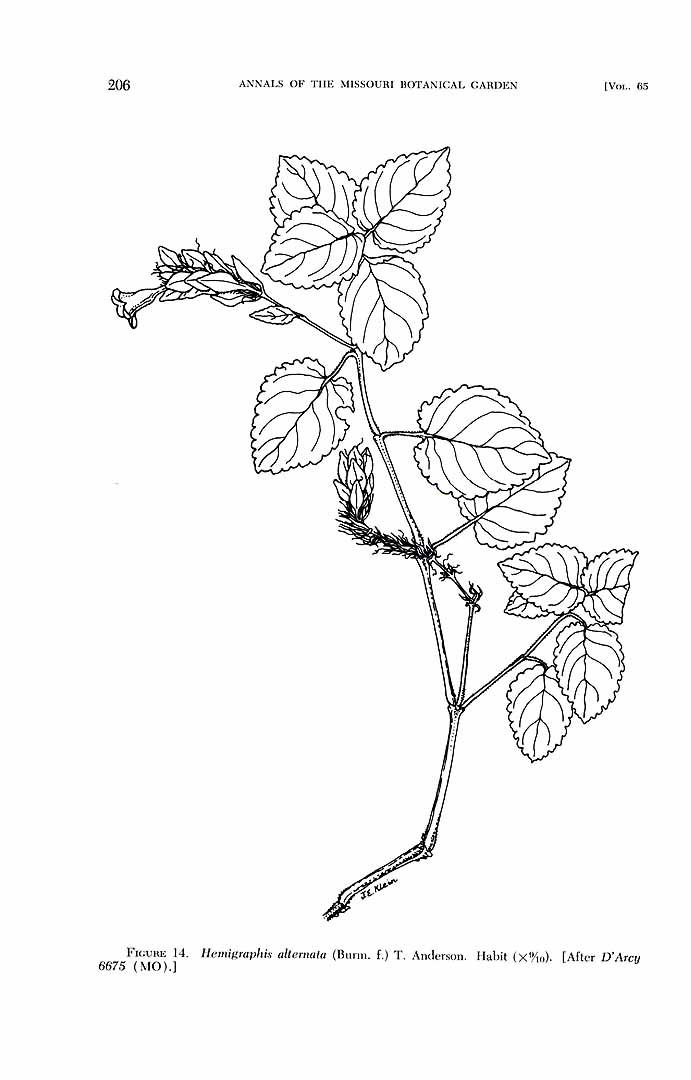 no HD illustration available (m1)