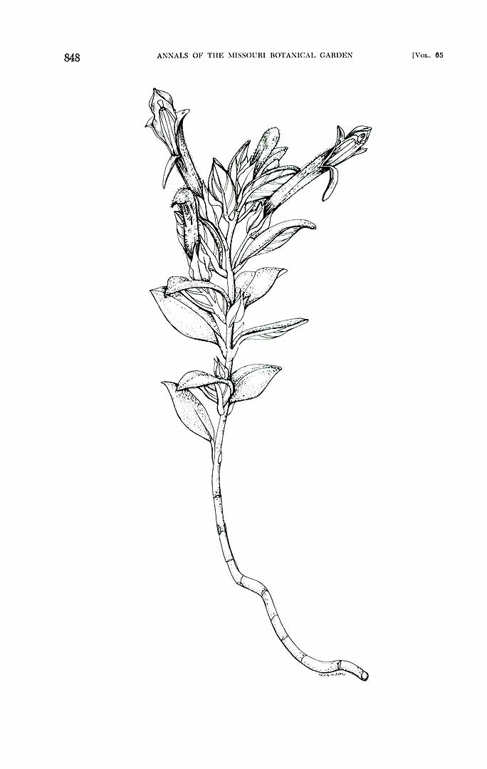 no HD illustration available (m1)