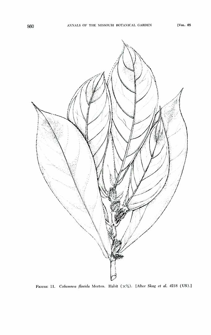 no HD illustration available (m1)