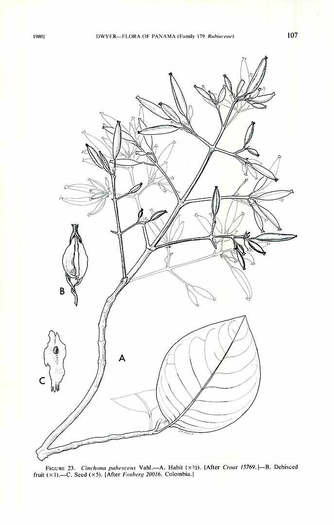 no HD illustration available (m1)