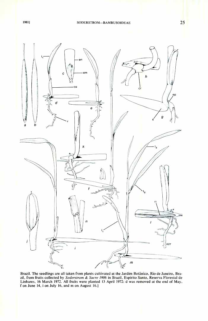 no HD illustration available (m3)