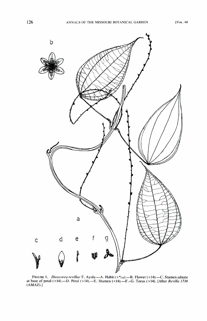 no HD illustration available (m1)