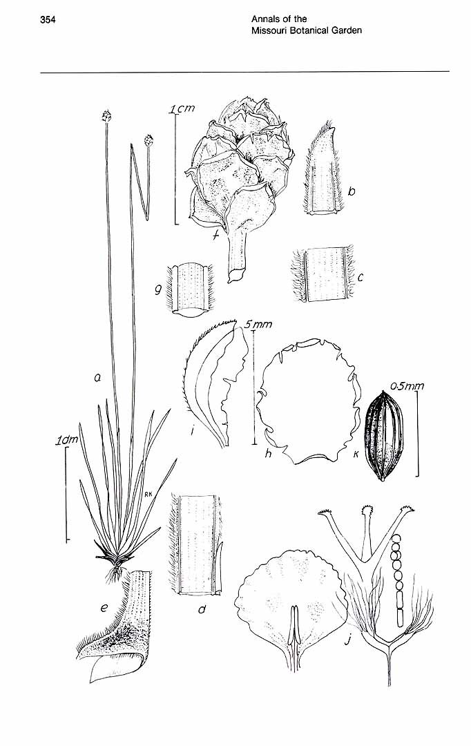 no HD illustration available (m3)
