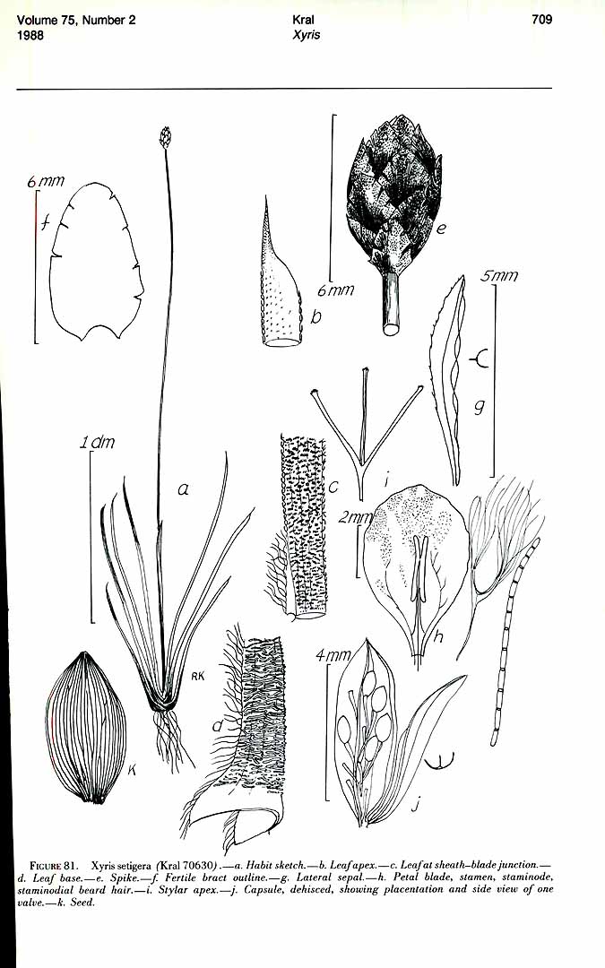 no HD illustration available (m3)