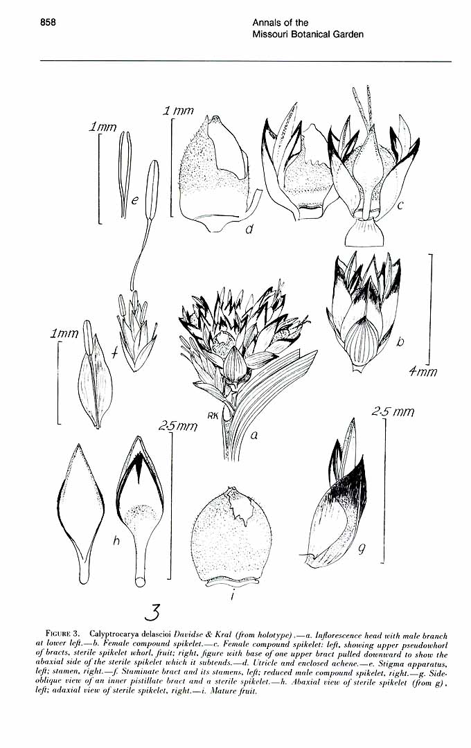 no HD illustration available (m3)