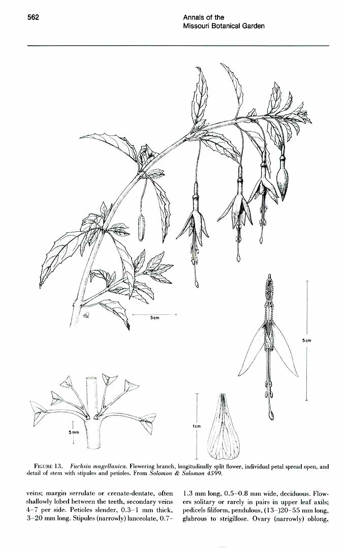 no HD illustration available (m3)
