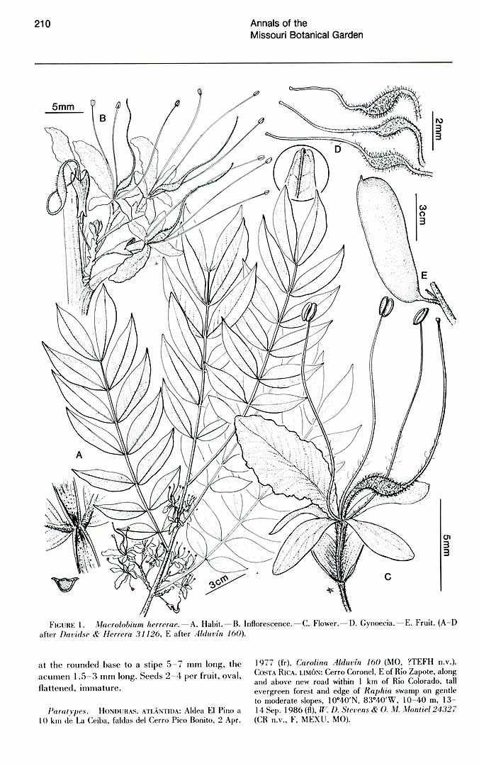 no HD illustration available (m3)