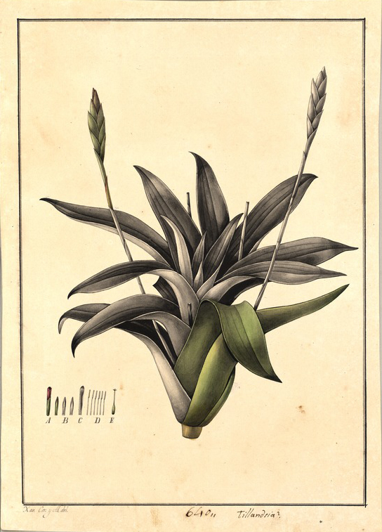 no HD illustration available (m1)