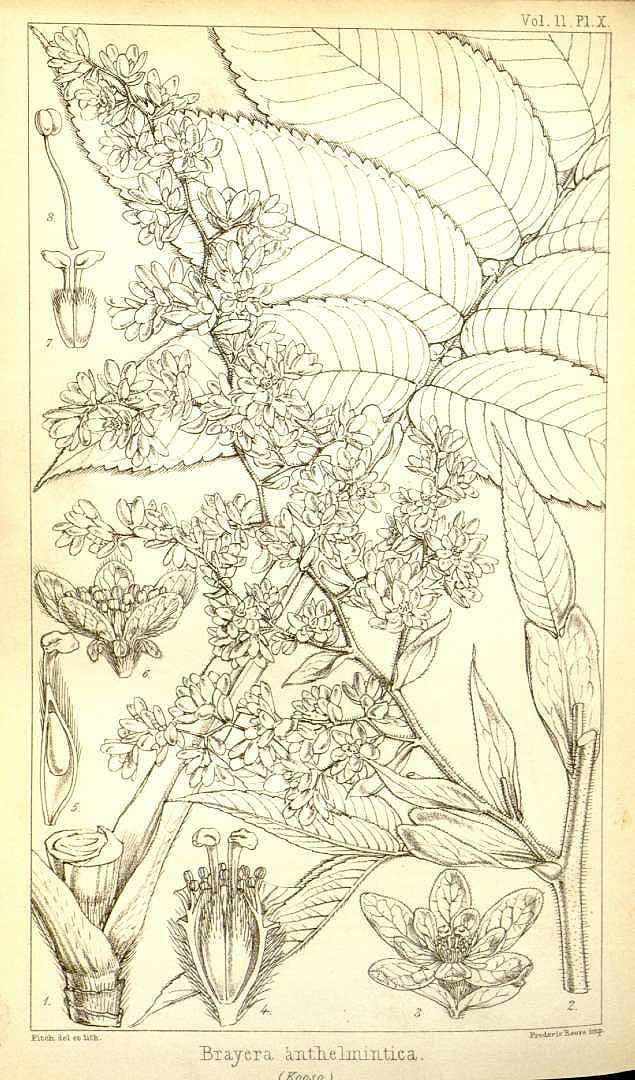 no HD illustration available (m5)