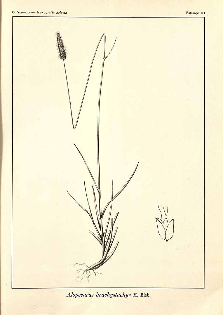 no HD illustration available (m3)