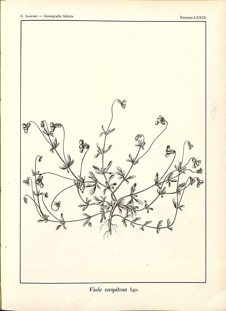 no HD illustration available (m3)