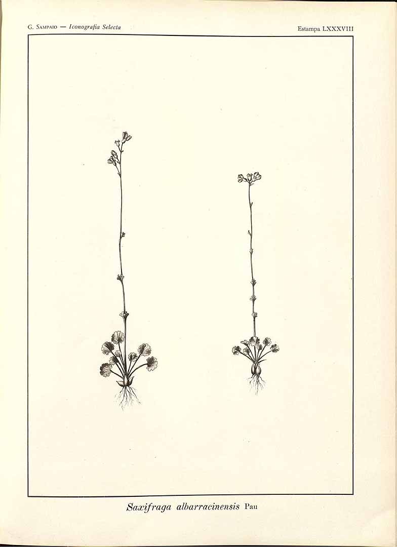 no HD illustration available (m3)