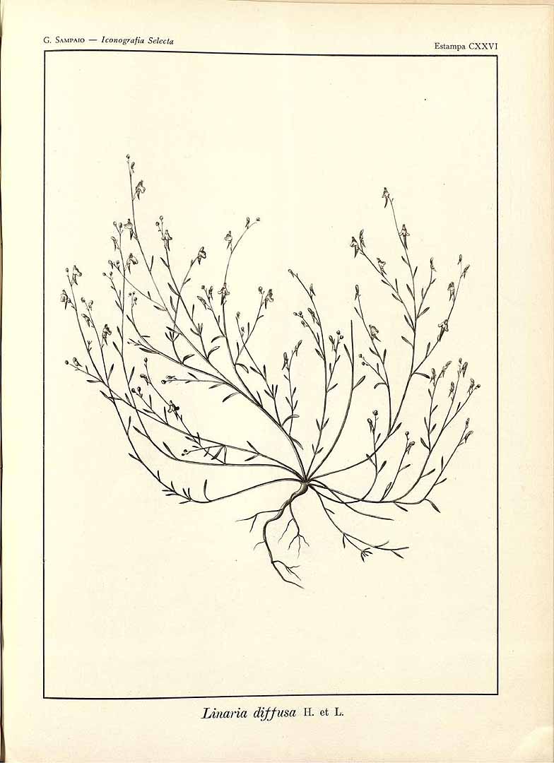 no HD illustration available (m1)