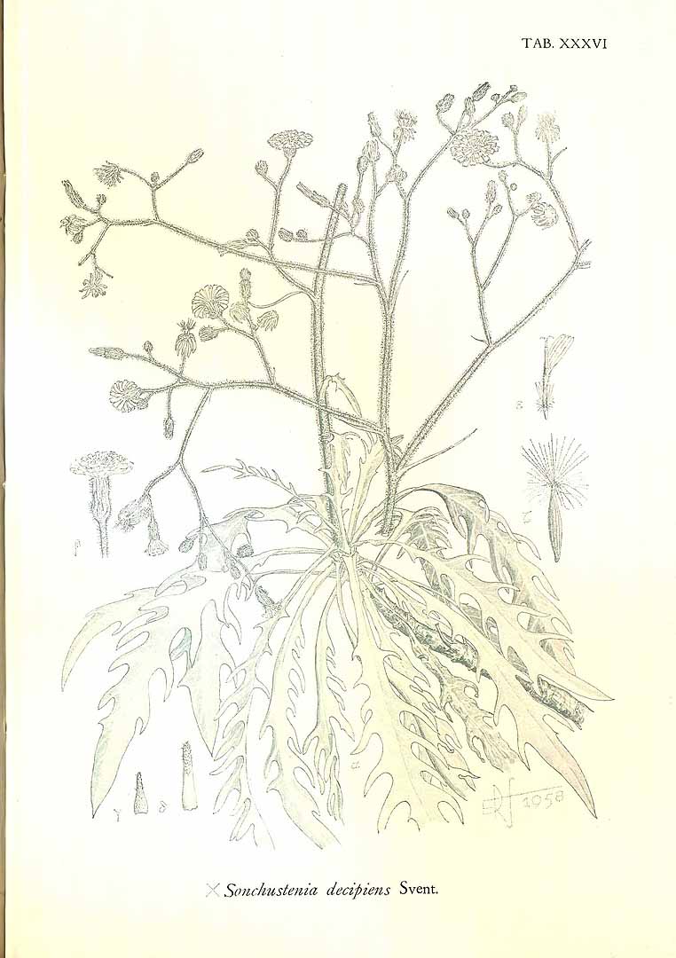 no HD illustration available (m3)