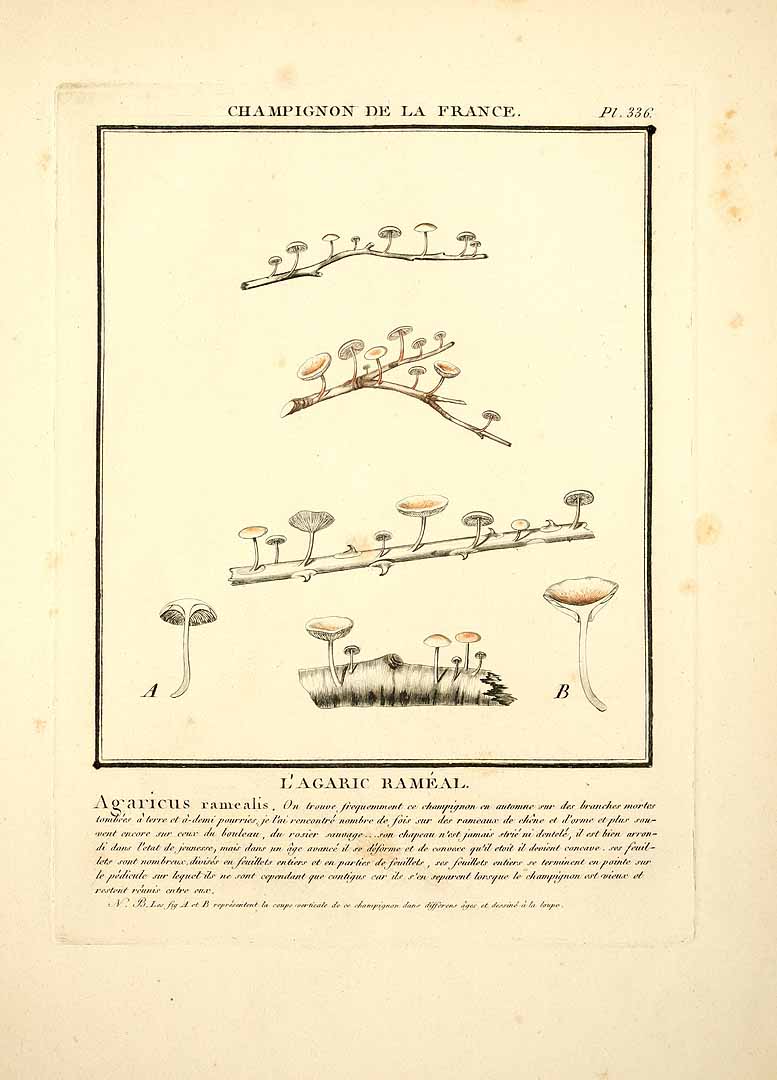 no HD illustration available (m3)