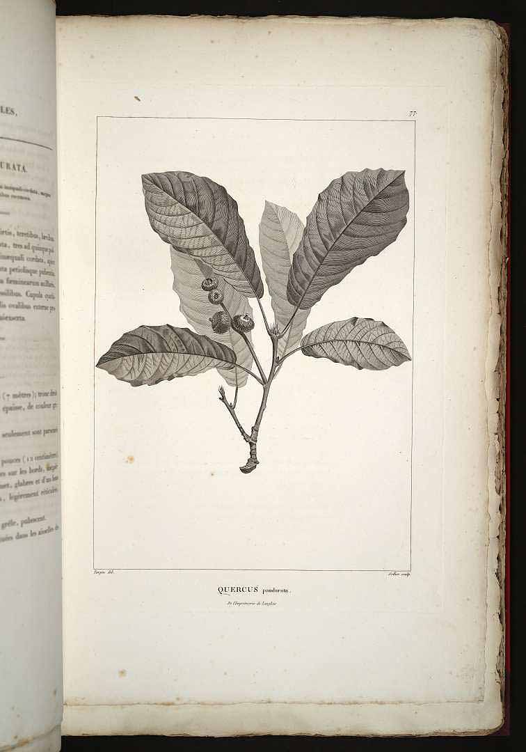 no HD illustration available (m3)