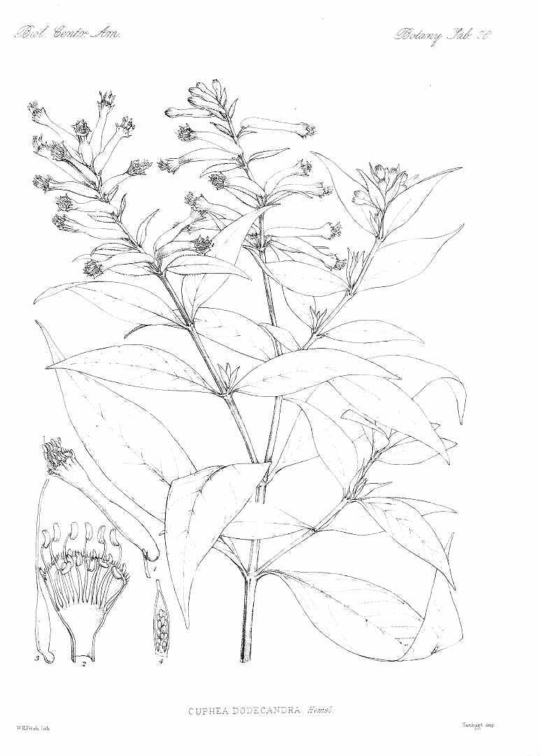 no HD illustration available (m3)