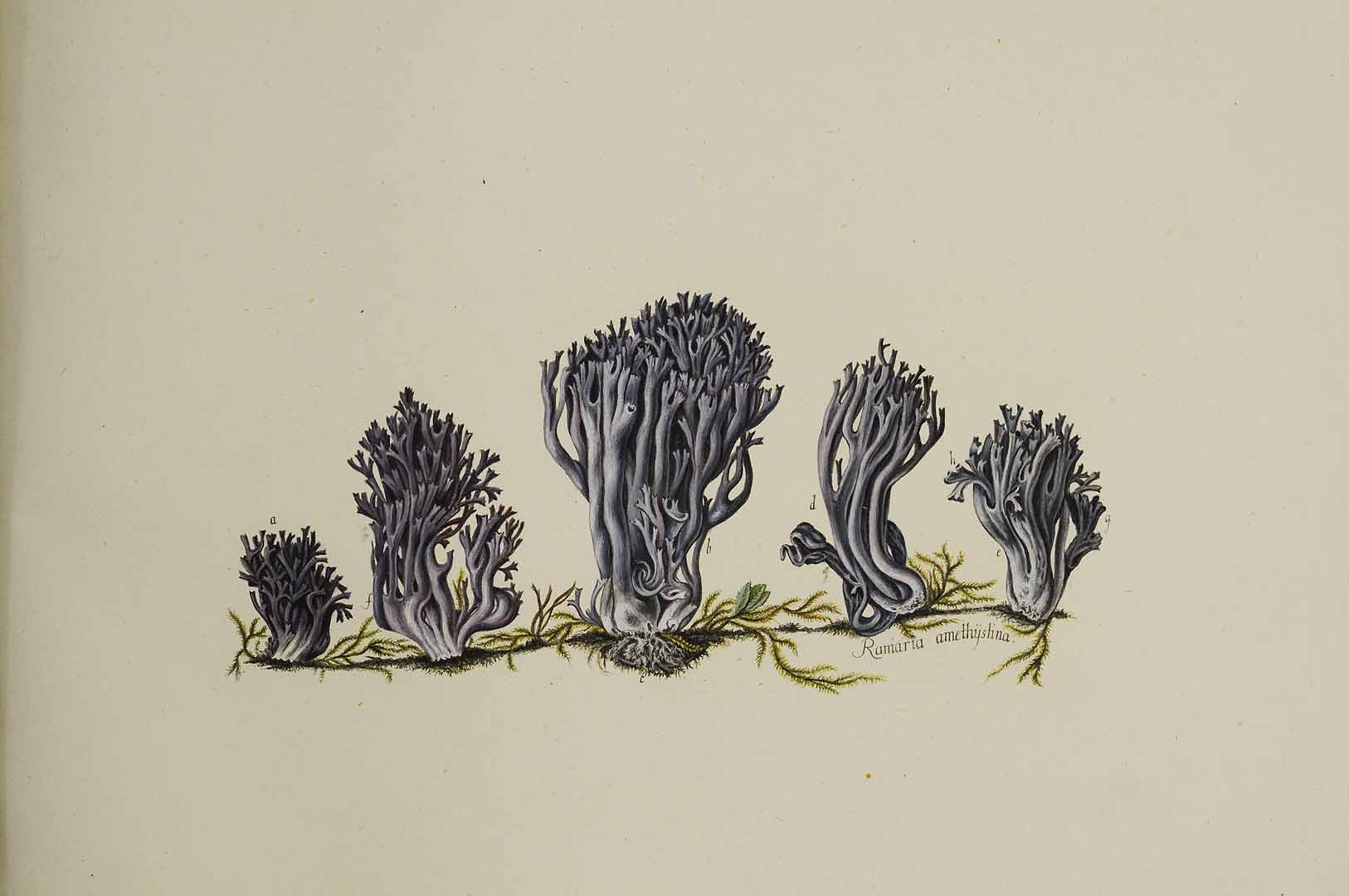 no HD illustration available (m5)