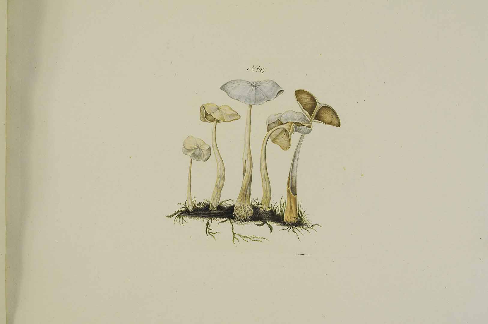 no HD illustration available (m5)