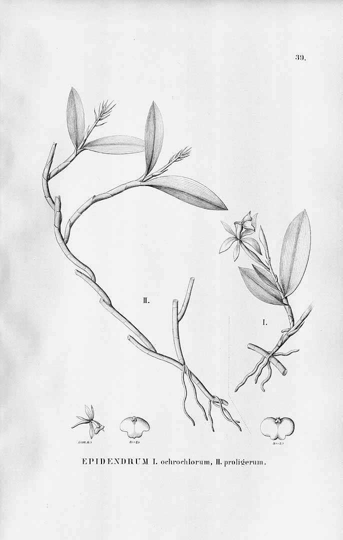 no HD illustration available (m5)