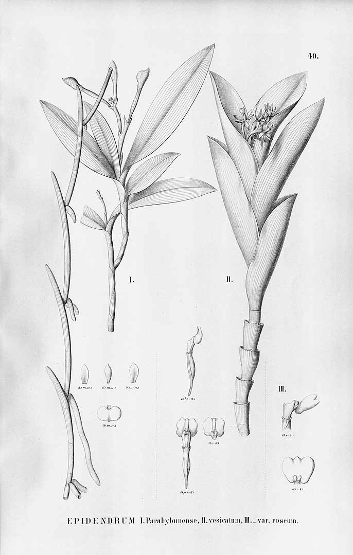 no HD illustration available (m5)