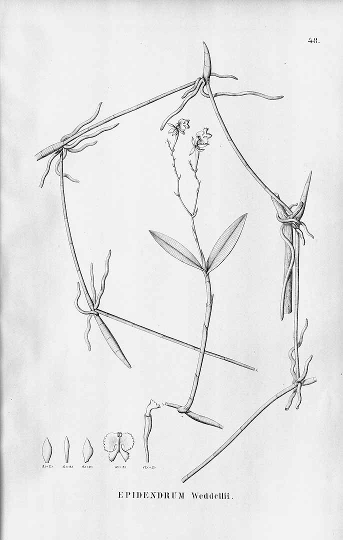 no HD illustration available (m5)