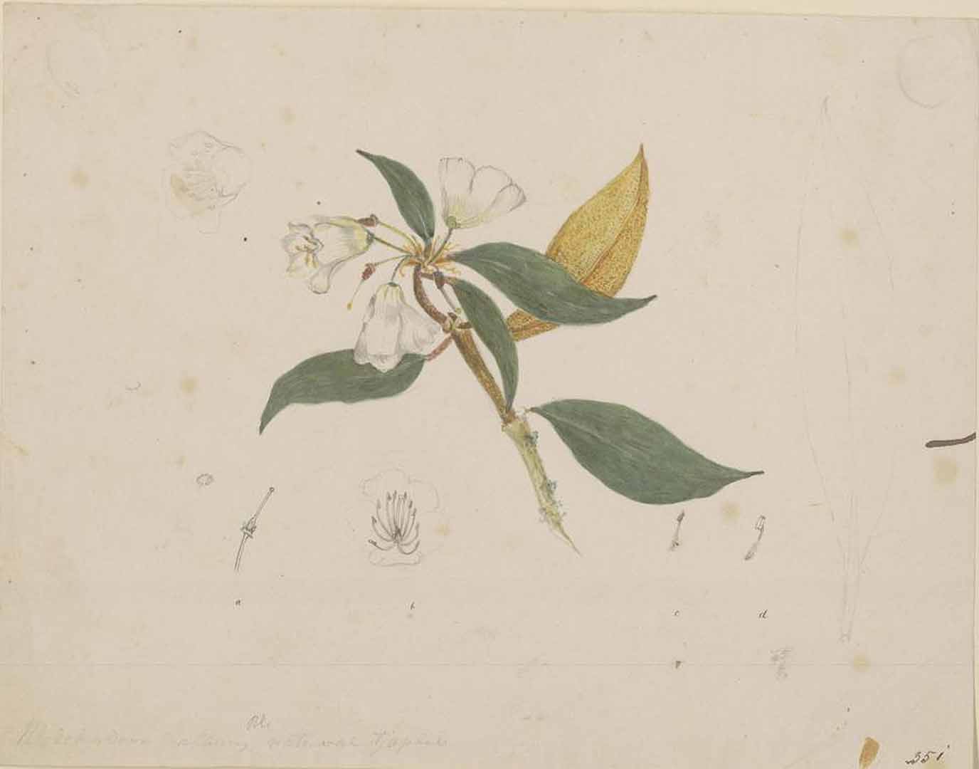 no HD illustration available (m2)