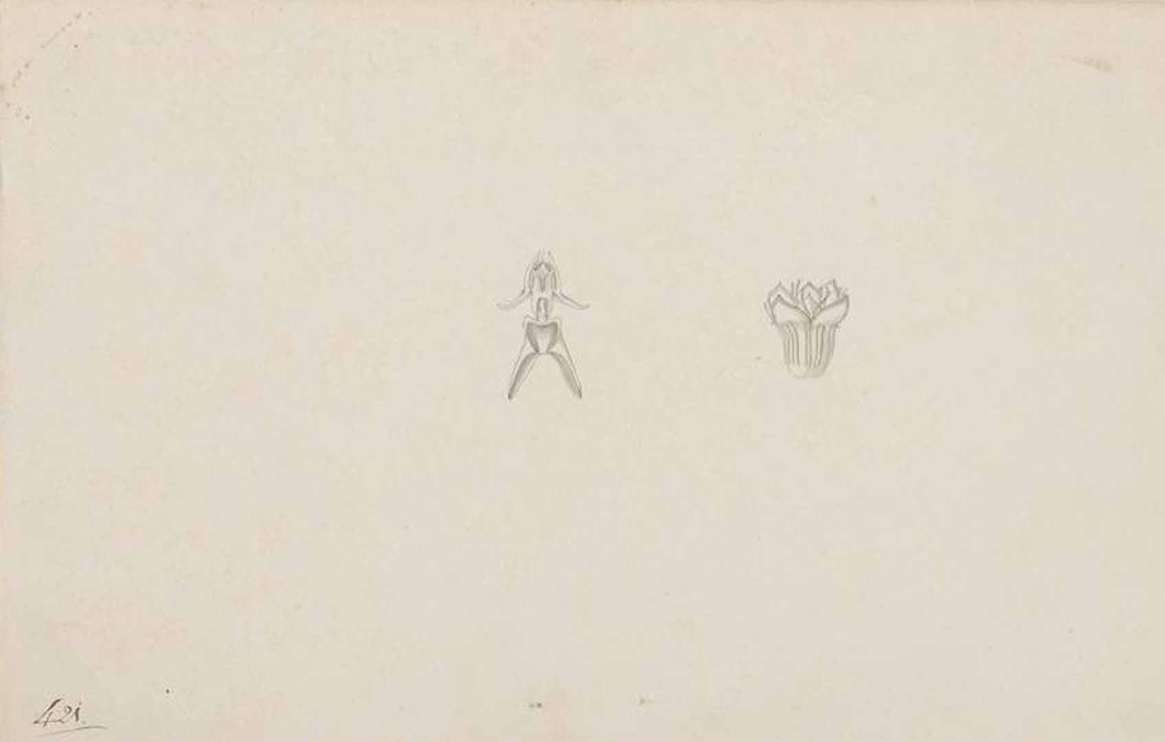 no HD illustration available (m2)