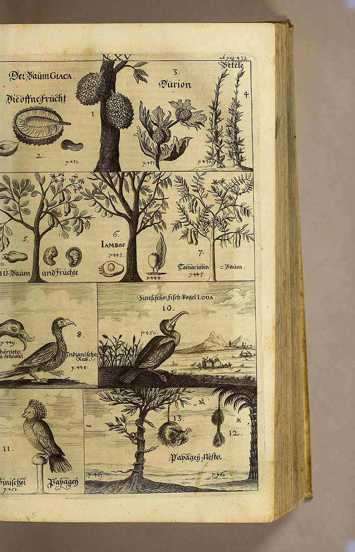 no HD illustration available (m1)