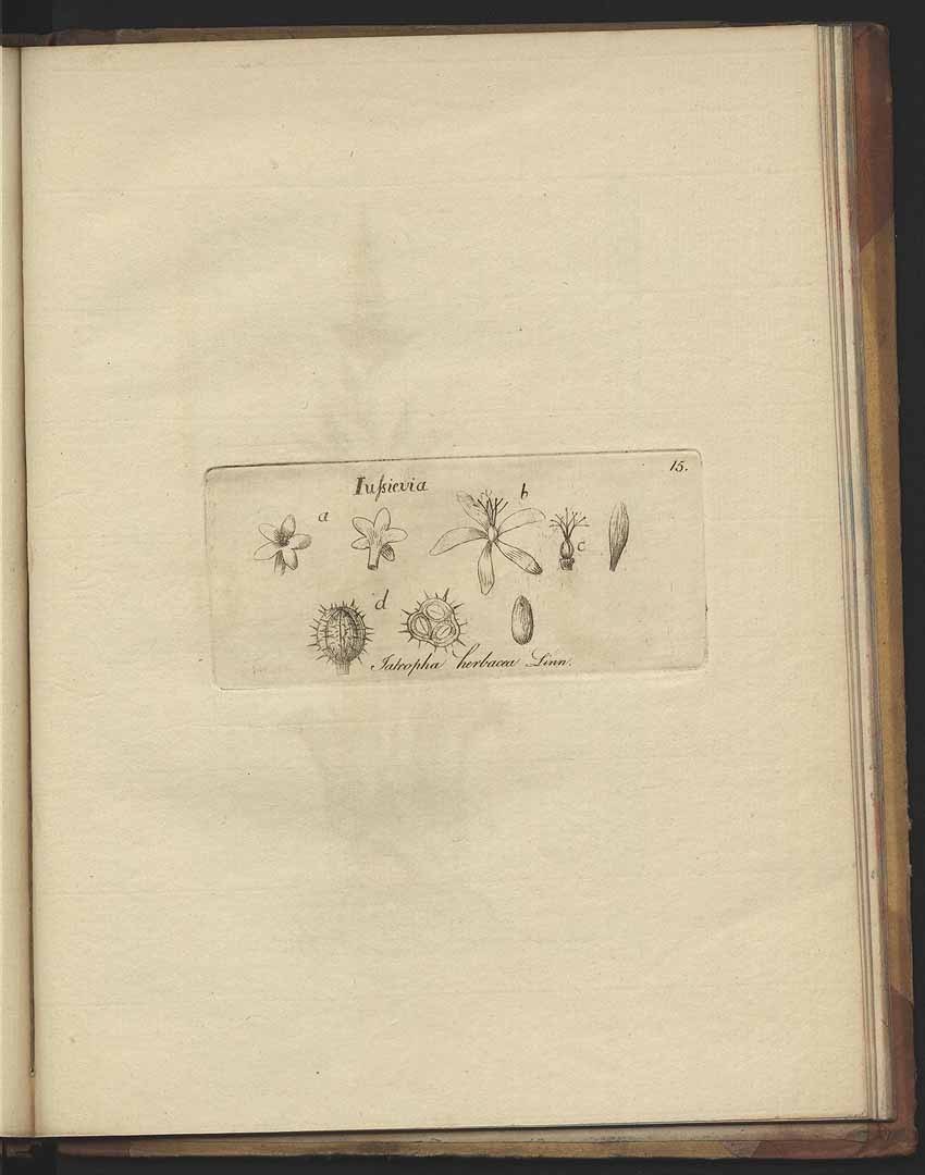 no HD illustration available (m1)