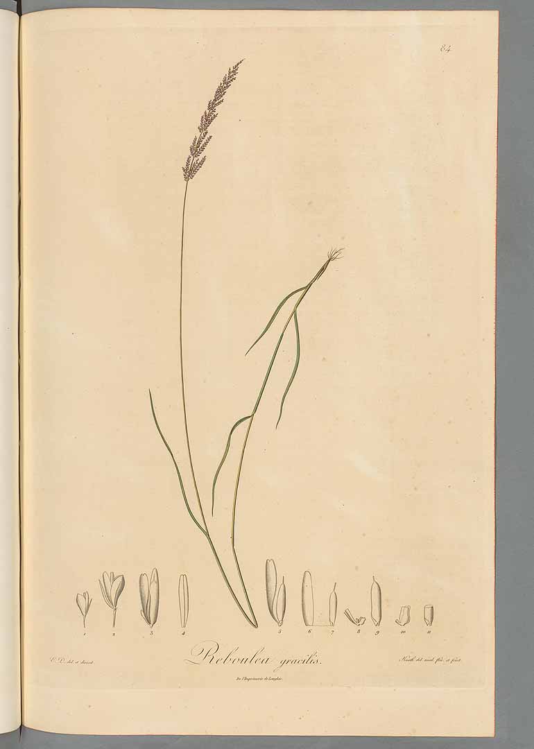 no HD illustration available (m3)