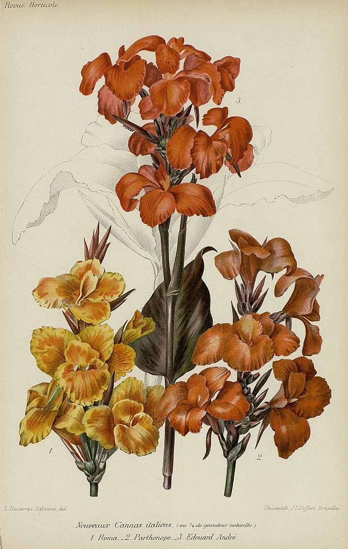 no HD illustration available (m1)