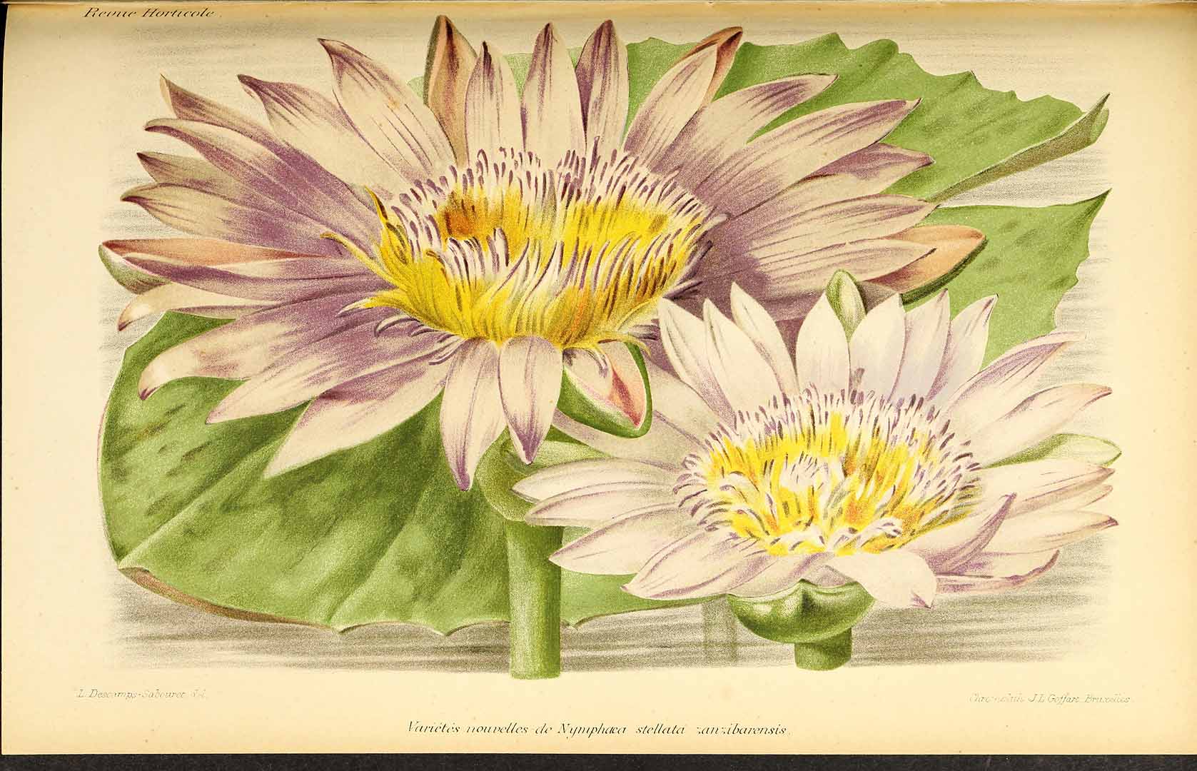 no HD illustration available (m5)