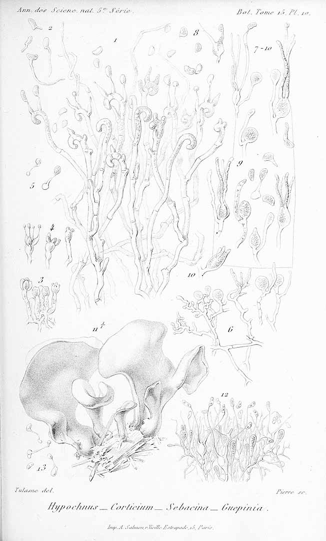 no HD illustration available (m3)