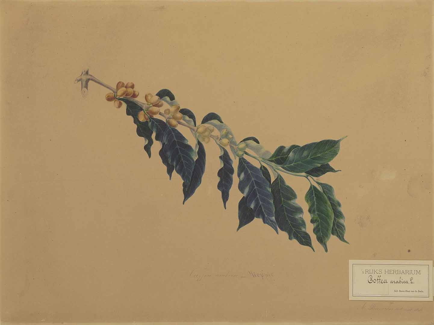no HD illustration available (m2)