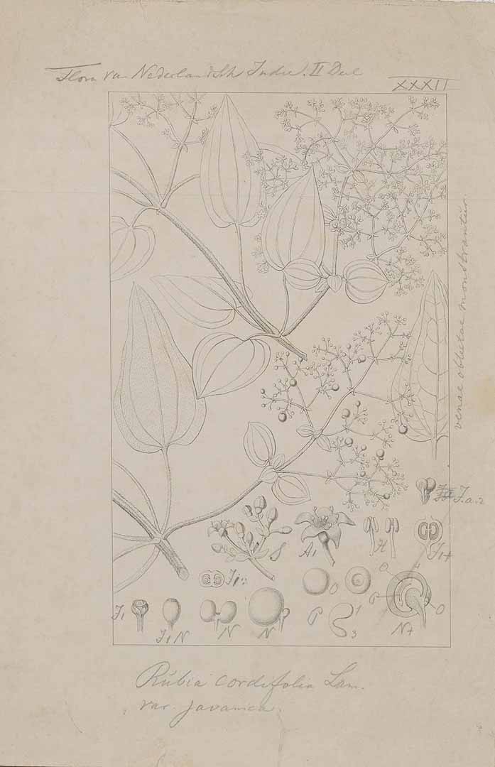 no HD illustration available (m1)