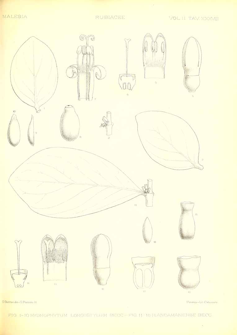 no HD illustration available (m3)