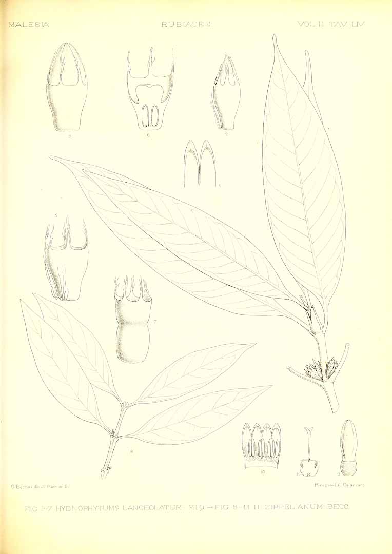 no HD illustration available (m3)