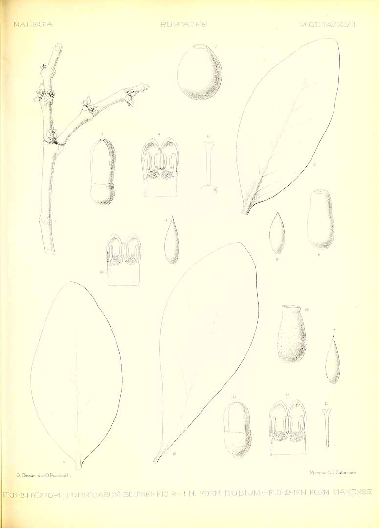 no HD illustration available (m3)