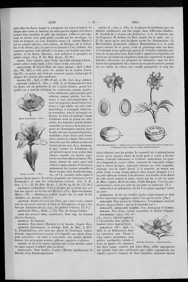 no HD illustration available (m1)