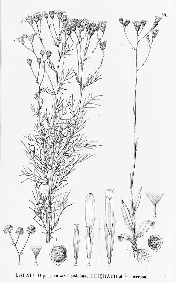 no HD illustration available (m3)
