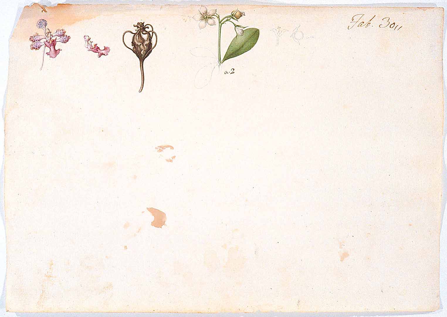 no HD illustration available (m2)