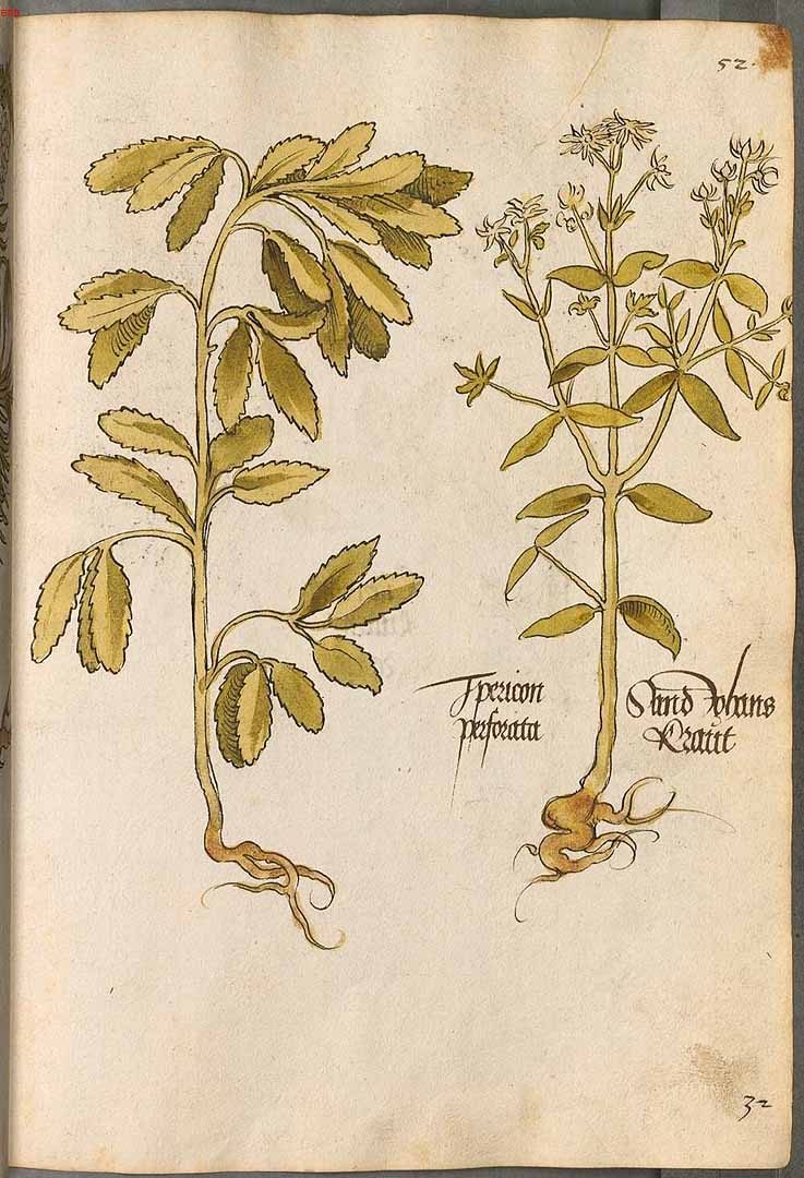 no HD illustration available (m3)