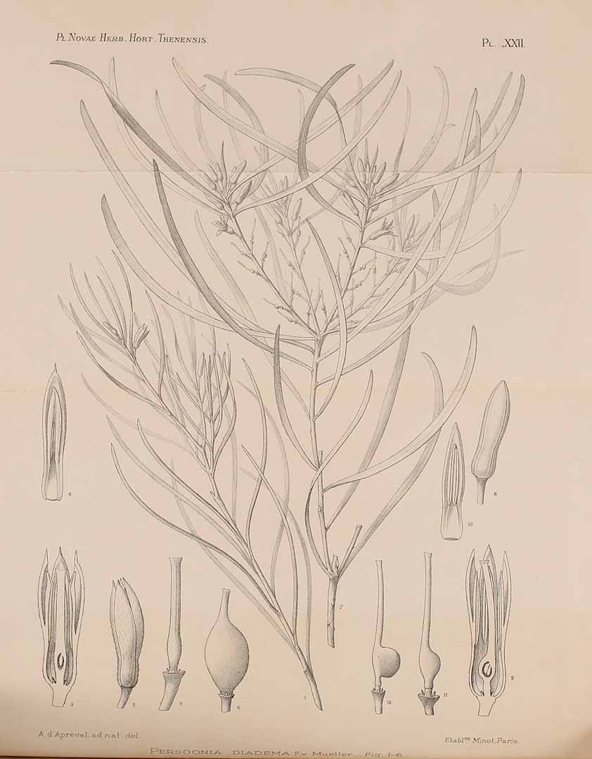 no HD illustration available (m3)
